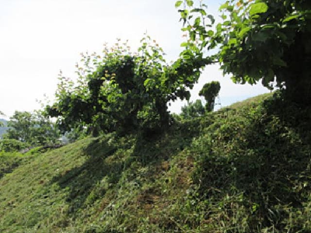 B000314202501300053154.jpg