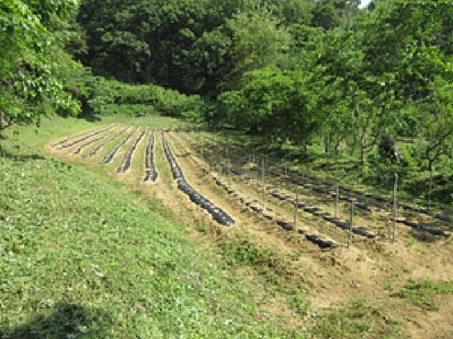 B000314202501300053153.jpg