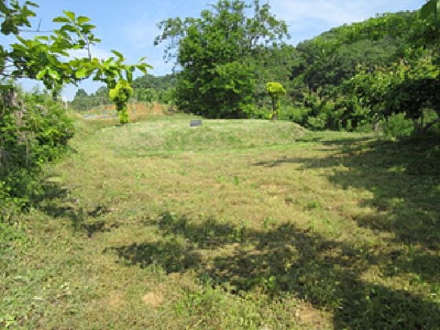 B000314202501300053151.jpg