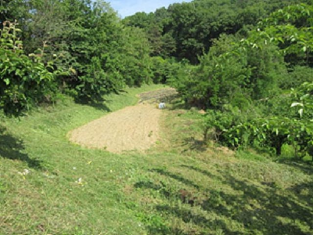 B000314202501300053152.jpg