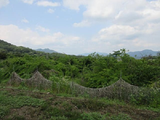 B000314202501300053292.jpg
