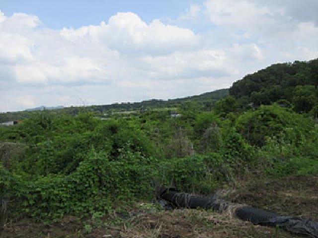 B000314202501300053291.jpg