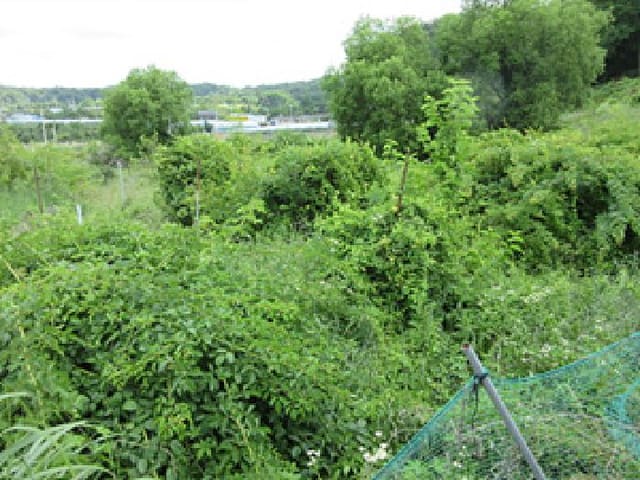 B000314202501300053293.jpg
