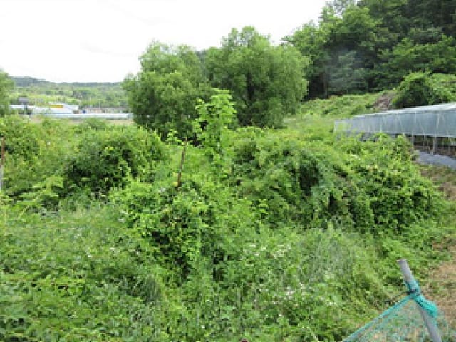 B000314202501300053294.jpg