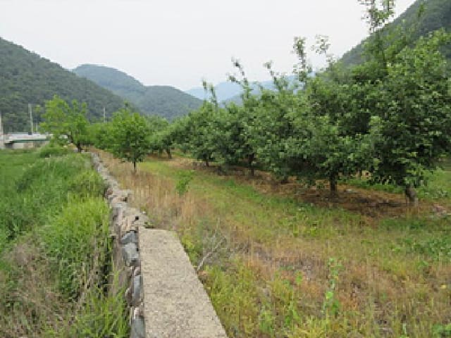 B000314202501300053391.jpg