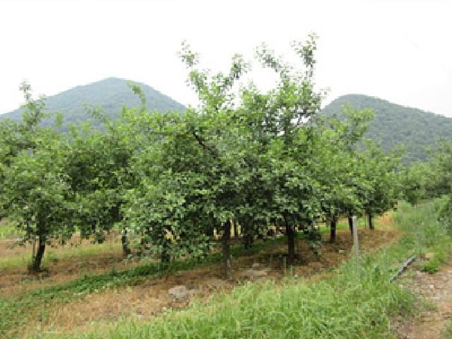 B000314202501300053393.jpg