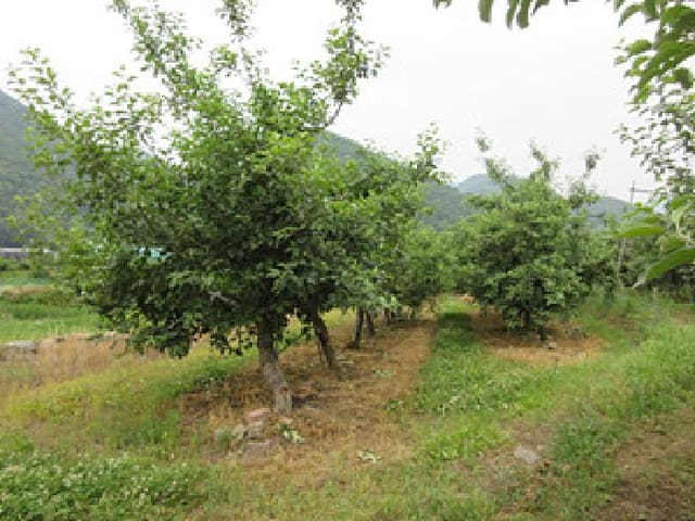 B000314202501300053392.jpg