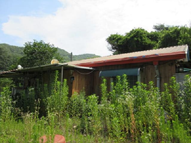 B000314202501300053453.jpg