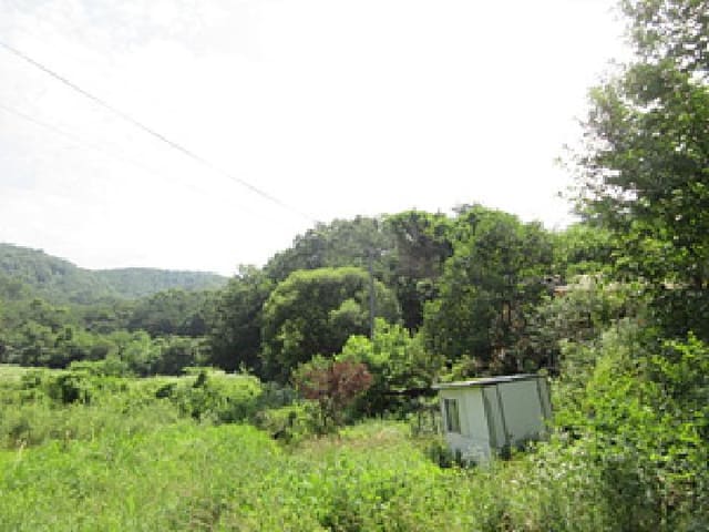 B000314202501300053452.jpg