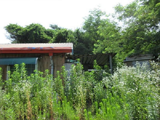 B000314202501300053454.jpg