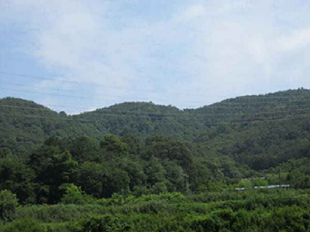 B000314202501300053451.jpg