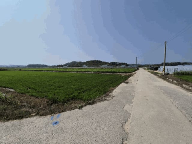B000314202501300053464.jpg