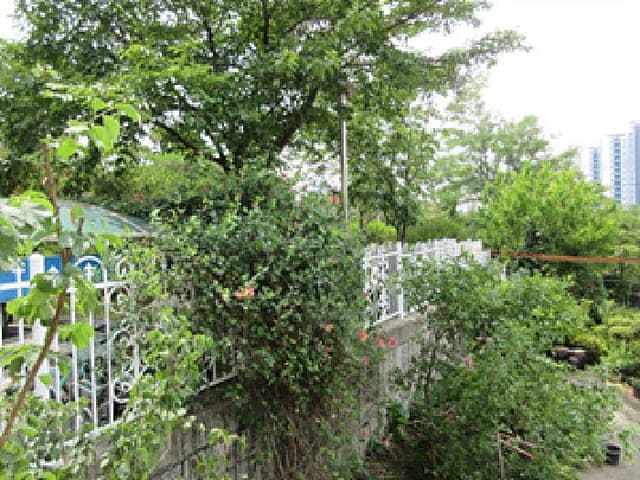 B000314202501300053514.jpg
