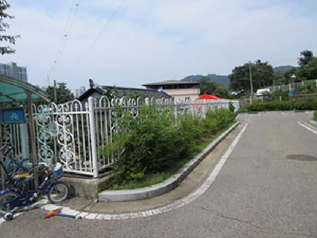 B000314202501300053512.jpg