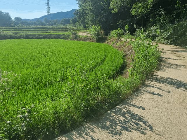 B000314202501300053633.jpg