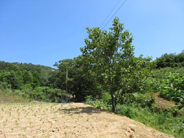 B000314202501300053651.jpg