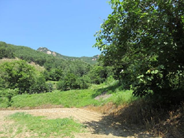 B000314202501300053653.jpg