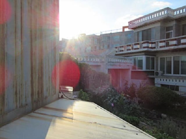 B000314202501300053673.jpg