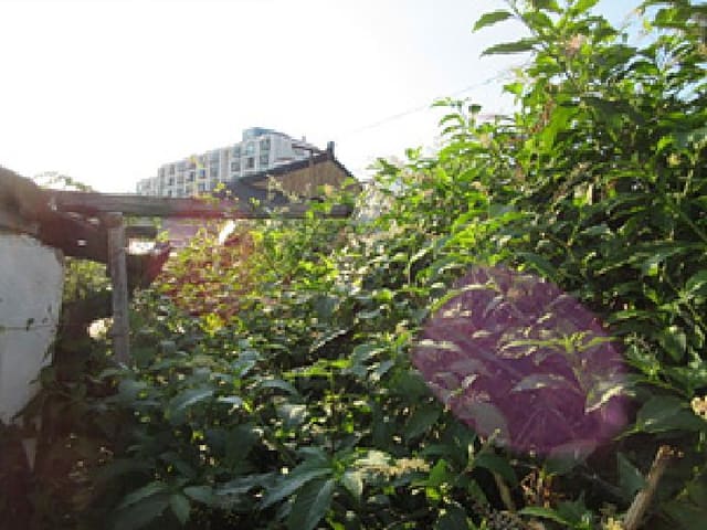 B000314202501300053692.jpg