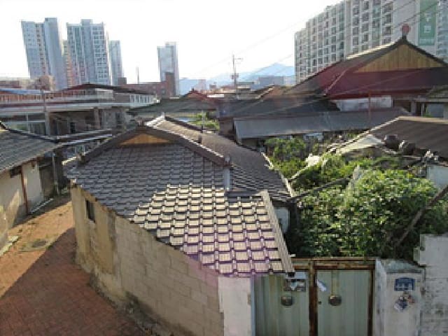 B000314202501300053691.jpg