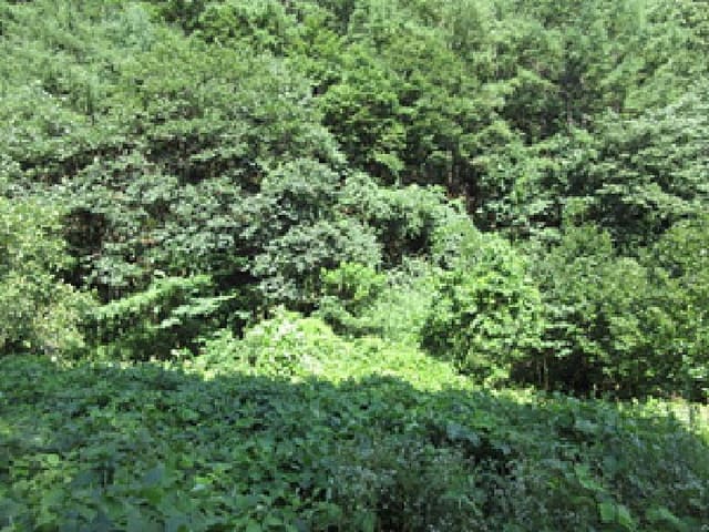B000314202501300053702.jpg