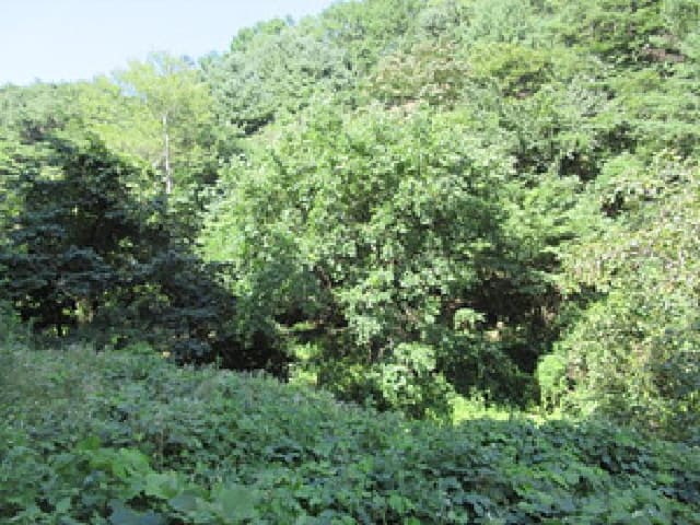 B000314202501300053703.jpg