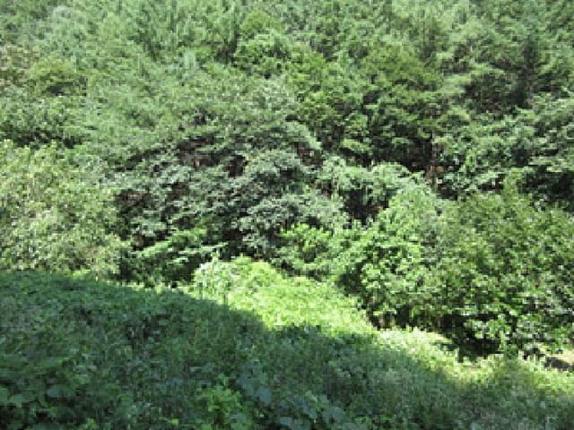 B000314202501300053701.jpg