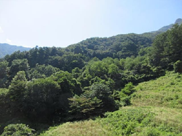 B000314202501300053704.jpg