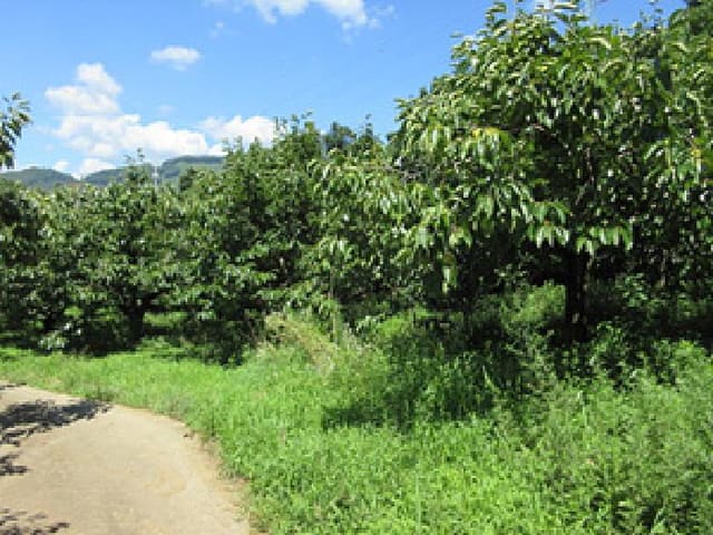 B0003142025013000537215.jpg