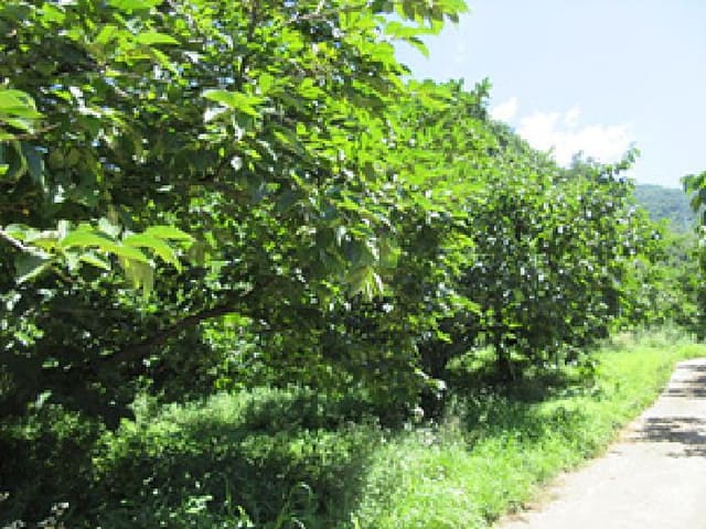 B0003142025013000537214.jpg