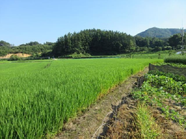 B000314202501300053732.jpg