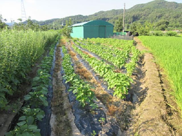 B000314202501300053734.jpg