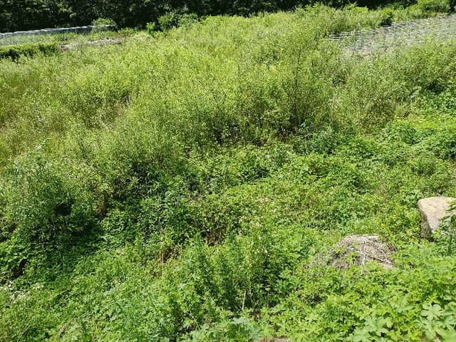 B000314202501300053763.jpg