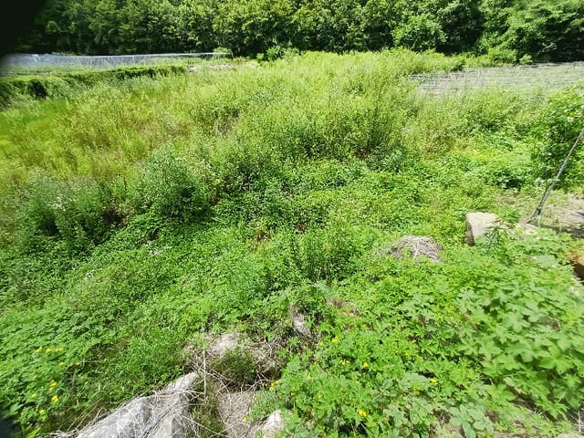 B000314202501300053764.jpg