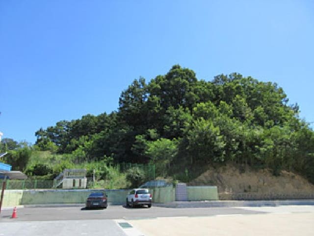 B000314202501300053801.jpg