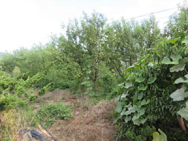 B000314202501300053991.jpg