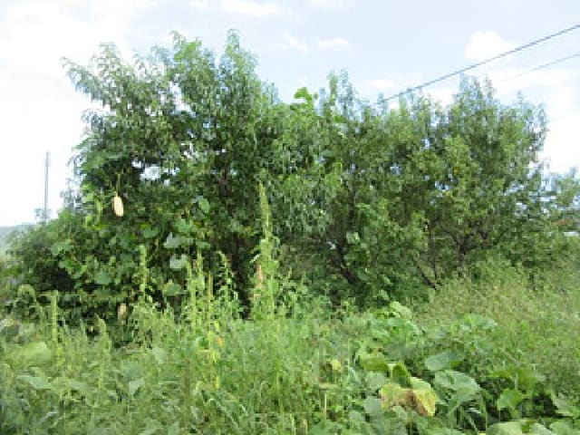 B000314202501300053992.jpg
