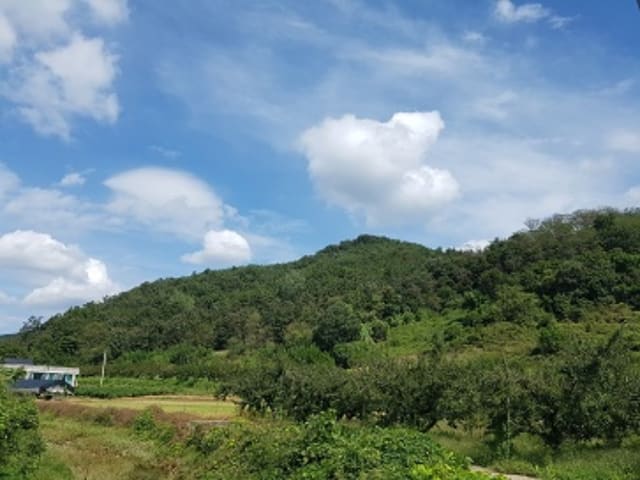 B000315202401300005618.jpg
