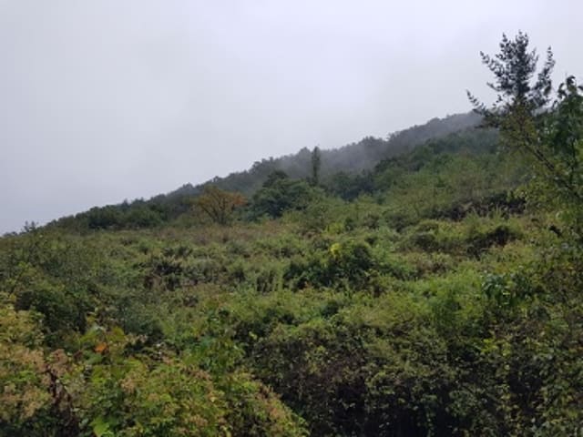 B000315202401300116842.jpg