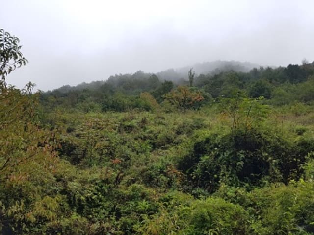 B000315202401300116841.jpg