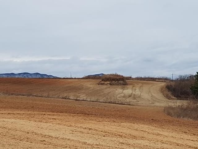 B000315202501300001481.jpg