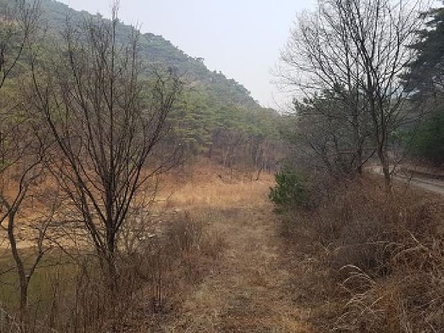 B000315202501300001623.jpg