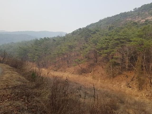 B000315202501300001624.jpg