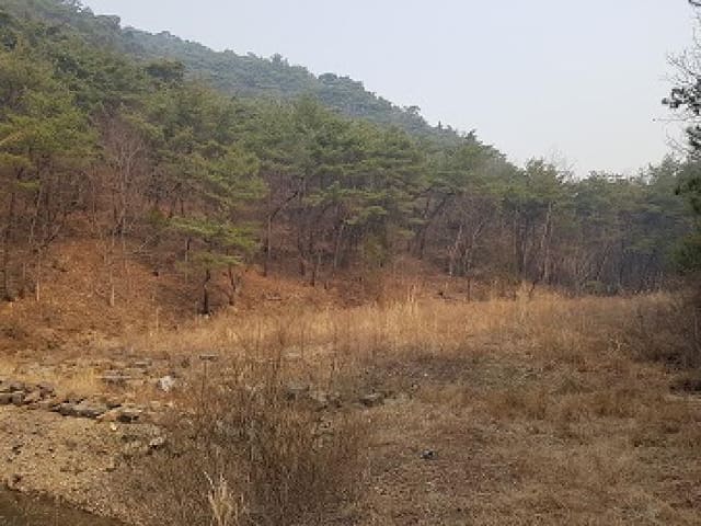 B000315202501300001621.jpg