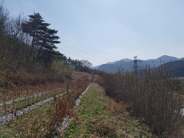B000315202501300002161.jpg