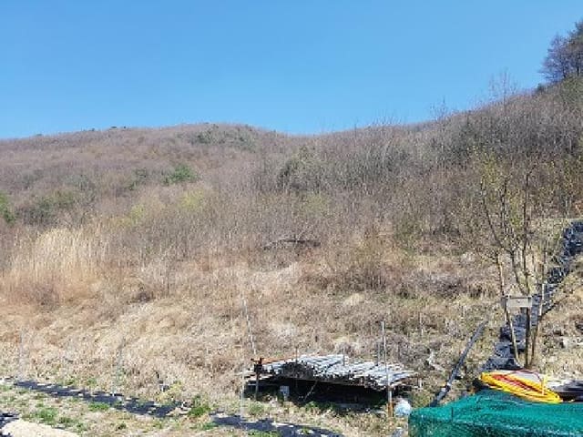 B000315202501300002164.jpg
