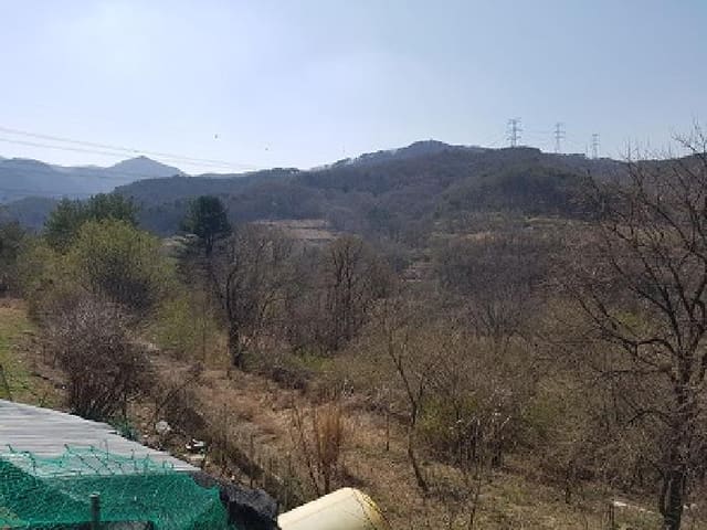 B000315202501300002162.jpg