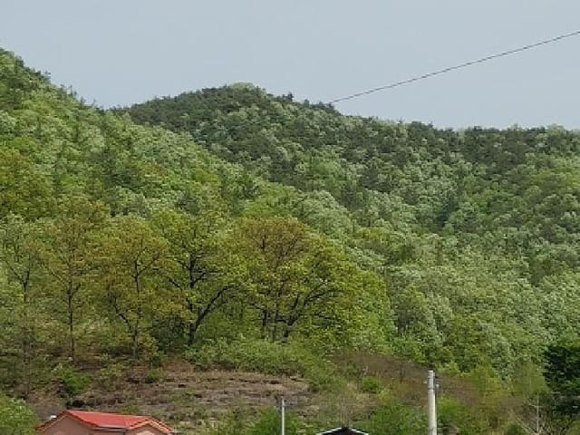 B000315202501300002231.jpg