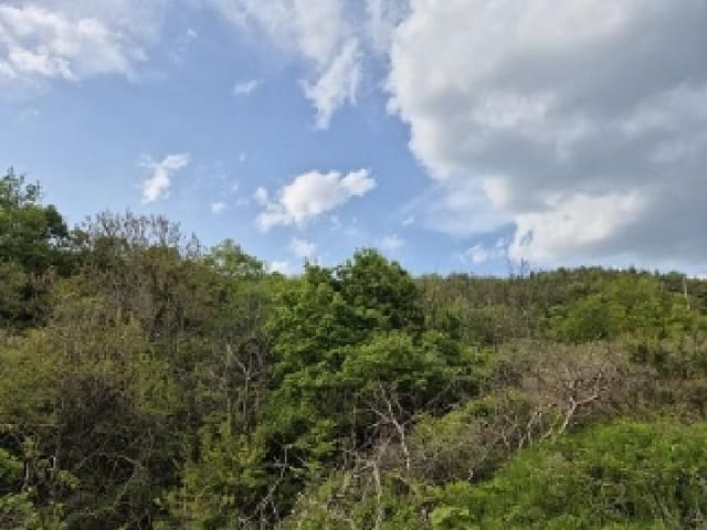 B000315202501300002474.jpg