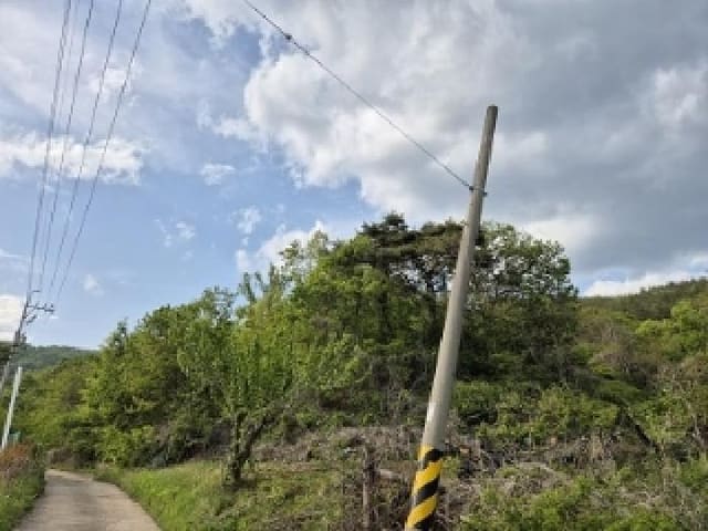 B000315202501300002472.jpg